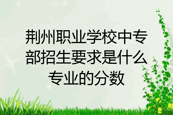 荆州职业学校中专部招生要求是什么专业的分数