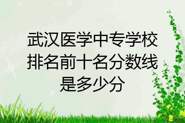 武汉医学中专学校排名前十名分数线是多少分