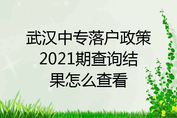 武汉中专落户政策2021期查询结果怎么查看