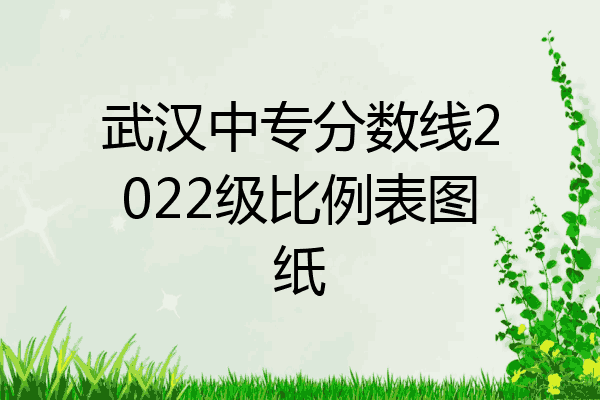 武汉中专分数线2022级比例表图纸