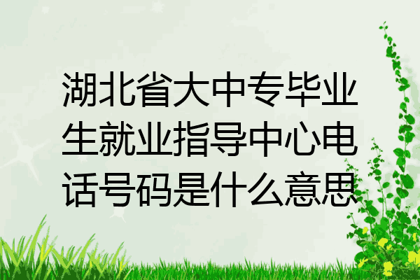 湖北省大中专毕业生就业指导中心电话号码是什么意思