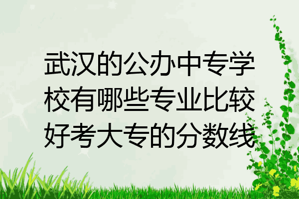 武汉的公办中专学校有哪些专业比较好考大专的分数线