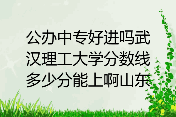 公办中专好进吗武汉理工大学分数线多少分能上啊山东