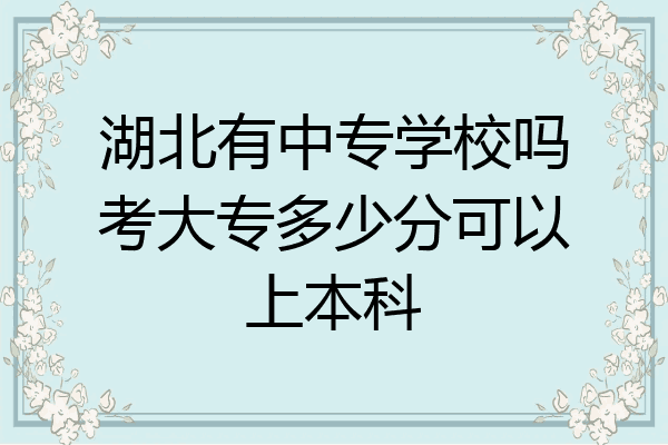 湖北有中专学校吗考大专多少分可以上本科
