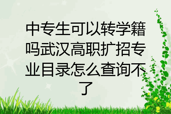 中专生可以转学籍吗武汉高职扩招专业目录怎么查询不了