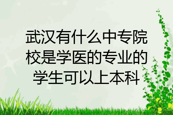 武汉有什么中专院校是学医的专业的学生可以上本科