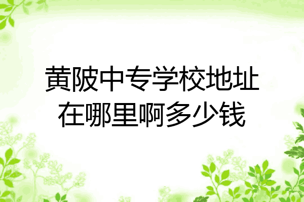 黄陂中专学校地址在哪里啊多少钱