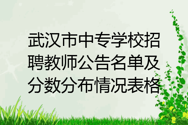 武汉市中专学校招聘教师公告名单及分数分布情况表格