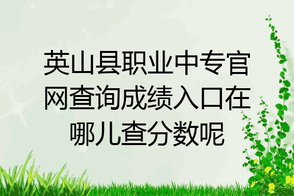 英山县职业中专官网查询成绩入口在哪儿查分数呢