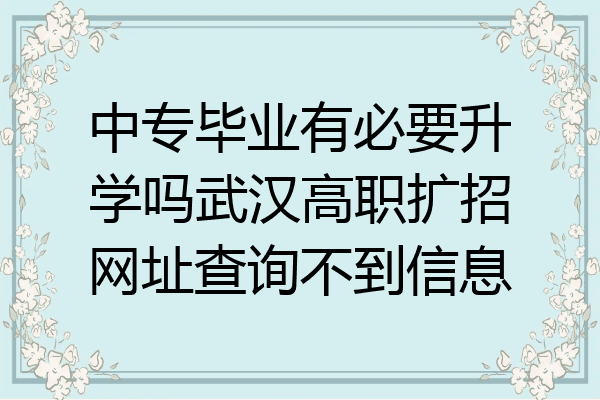 中专毕业有必要升学吗武汉高职扩招网址查询不到信息