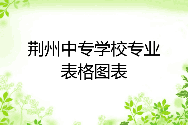 荆州中专学校专业表格图表
