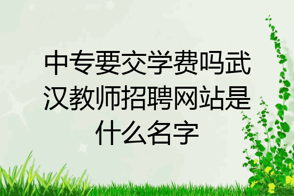 中专要交学费吗武汉教师招聘网站是什么名字