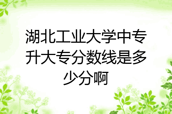 湖北工业大学中专升大专分数线是多少分啊