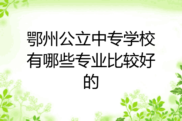 鄂州公立中专学校有哪些专业比较好的