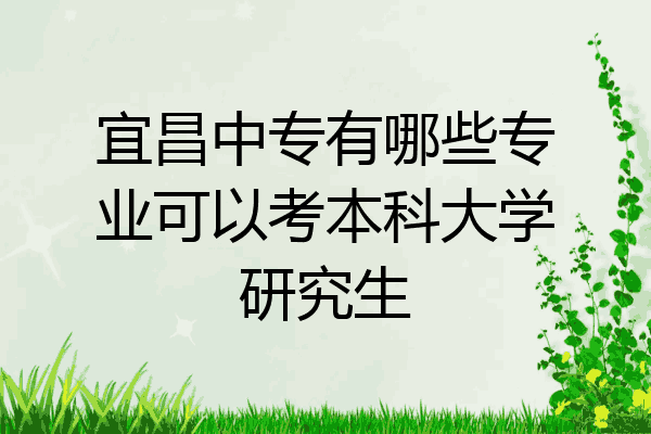 宜昌中专有哪些专业可以考本科大学研究生