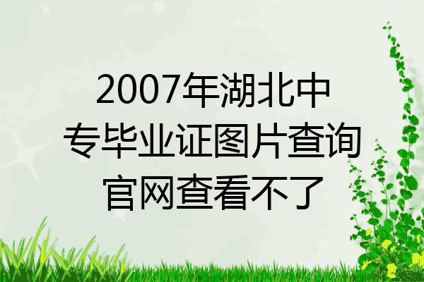 2007年湖北中专毕业证图片查询官网查看不了