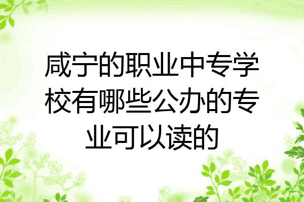 咸宁的职业中专学校有哪些公办的专业可以读的