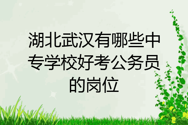 湖北武汉有哪些中专学校好考公务员的岗位