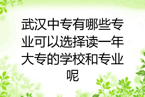 武汉中专有哪些专业可以选择读一年大专的学校和专业呢