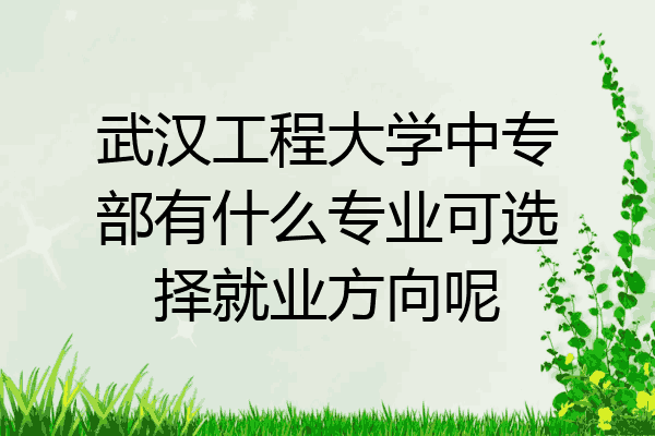 武汉工程大学中专部有什么专业可选择就业方向呢