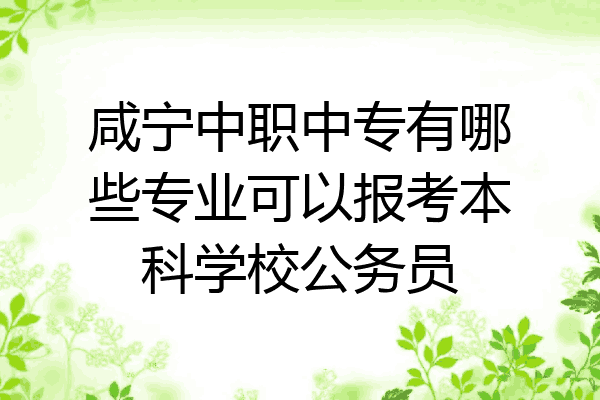 咸宁中职中专有哪些专业可以报考本科学校公务员