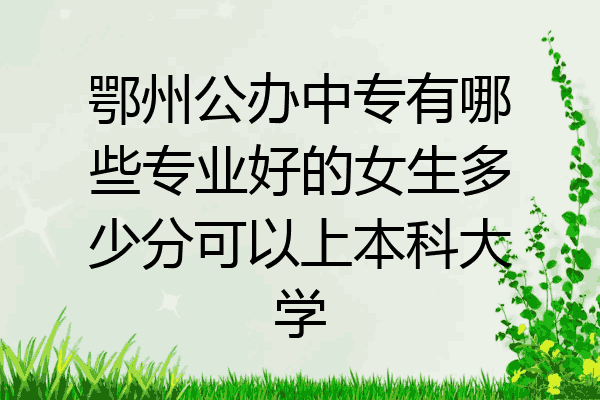 鄂州公办中专有哪些专业好的女生多少分可以上本科大学