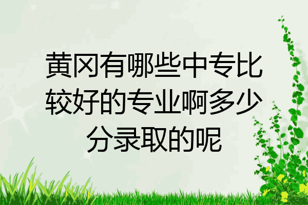 黄冈有哪些中专比较好的专业啊多少分录取的呢