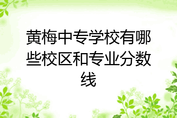 黄梅中专学校有哪些校区和专业分数线
