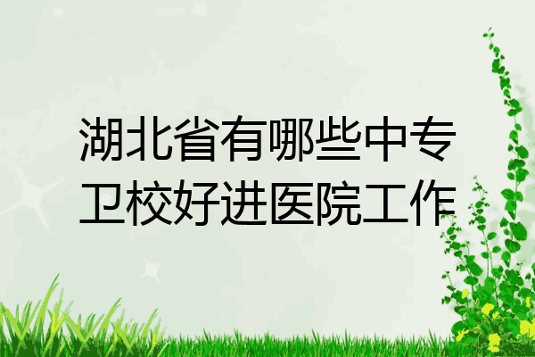 湖北省有哪些中专卫校好进医院工作