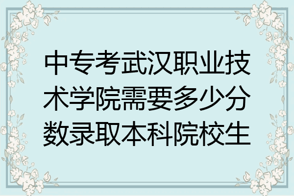 中专考武汉职业技术学院需要多少分数录取本科院校生