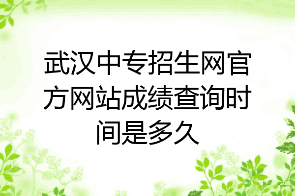 武汉中专招生网官方网站成绩查询时间是多久