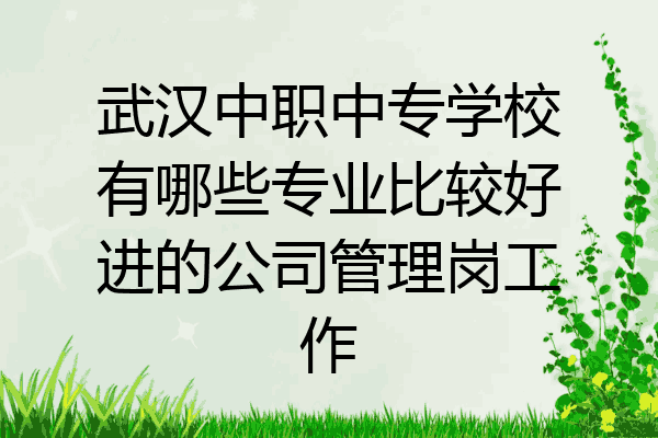 武汉中职中专学校有哪些专业比较好进的公司管理岗工作