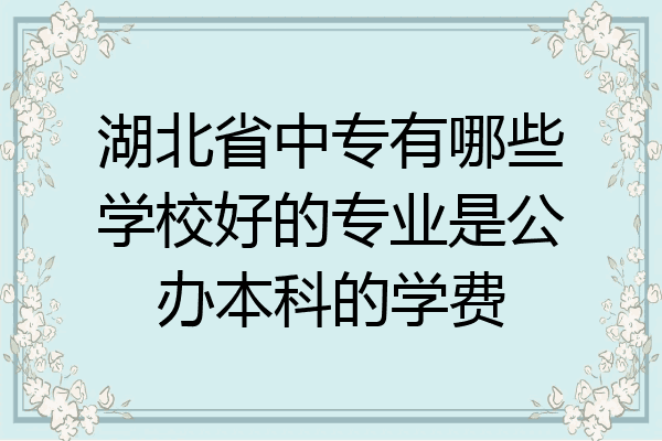 湖北省中专有哪些学校好的专业是公办本科的学费
