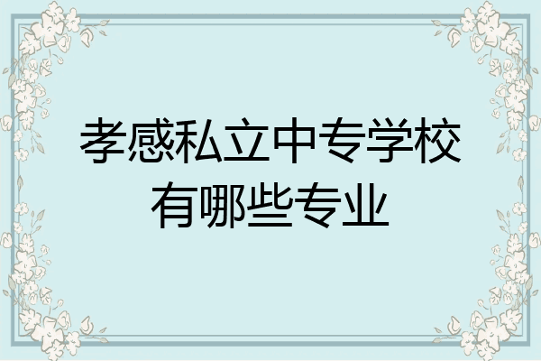 孝感私立中专学校有哪些专业