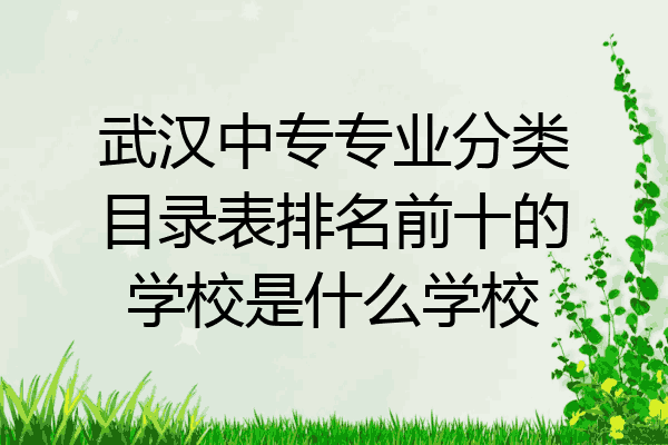 武汉中专专业分类目录表排名前十的学校是什么学校