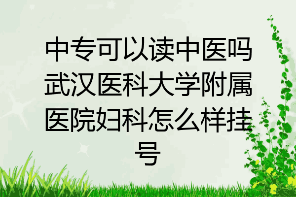 中专可以读中医吗武汉医科大学附属医院妇科怎么样挂号