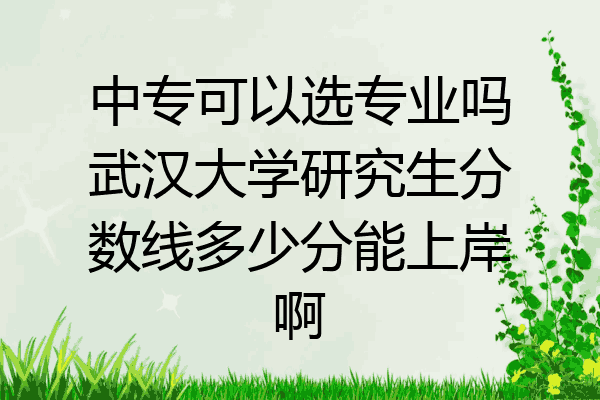 中专可以选专业吗武汉大学研究生分数线多少分能上岸啊
