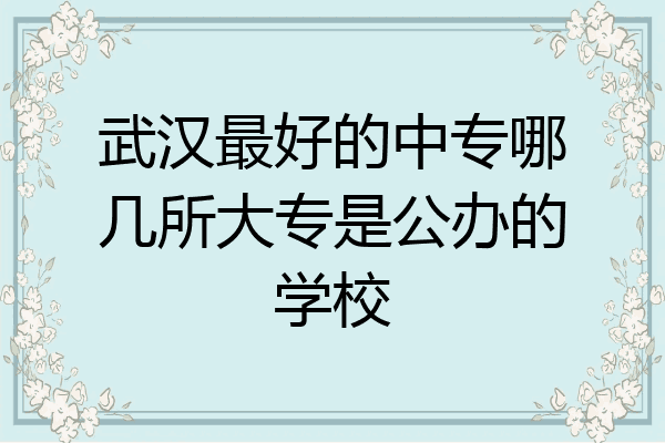 武汉最好的中专哪几所大专是公办的学校