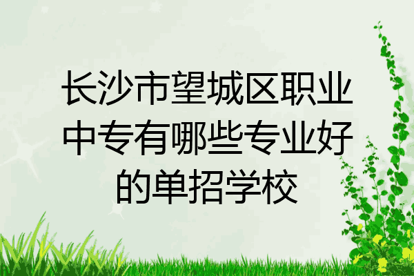 长沙市望城区职业中专有哪些专业好的单招学校