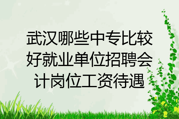 武汉哪些中专比较好就业单位招聘会计岗位工资待遇