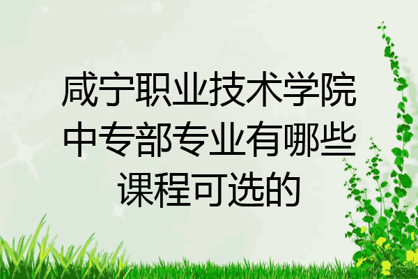 咸宁职业技术学院中专部专业有哪些课程可选的