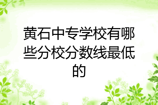 黄石中专学校有哪些分校分数线最低的