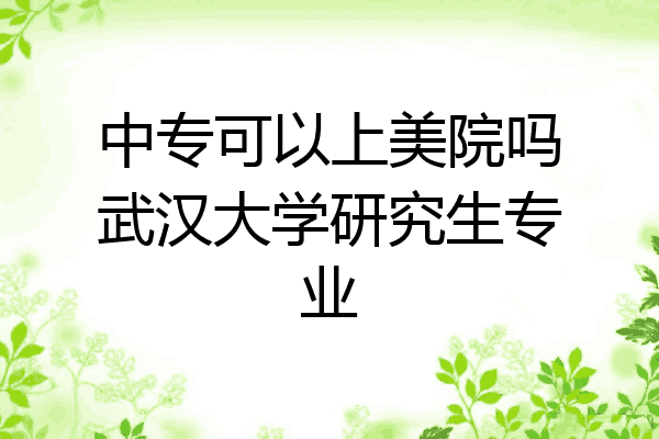 中专可以上美院吗武汉大学研究生专业