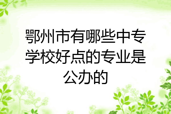 鄂州市有哪些中专学校好点的专业是公办的