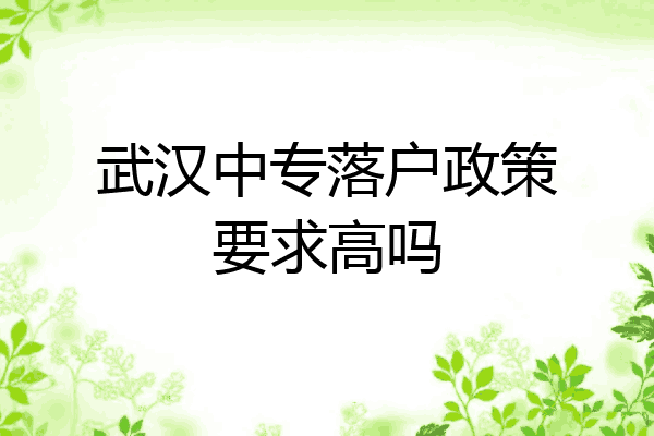 武汉中专落户政策要求高吗