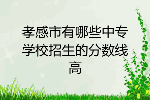 孝感市有哪些中专学校招生的分数线高