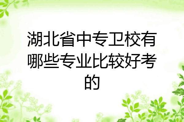 湖北省中专卫校有哪些专业比较好考的