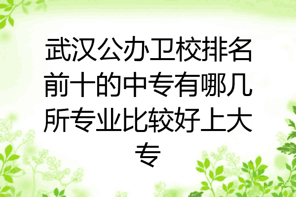武汉公办卫校排名前十的中专有哪几所专业比较好上大专