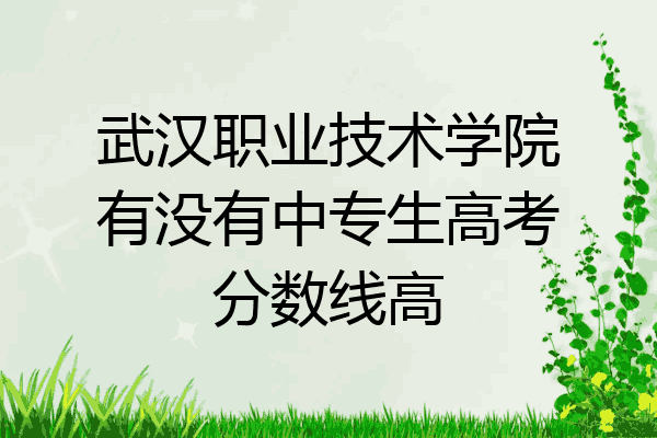 武汉职业技术学院有没有中专生高考分数线高