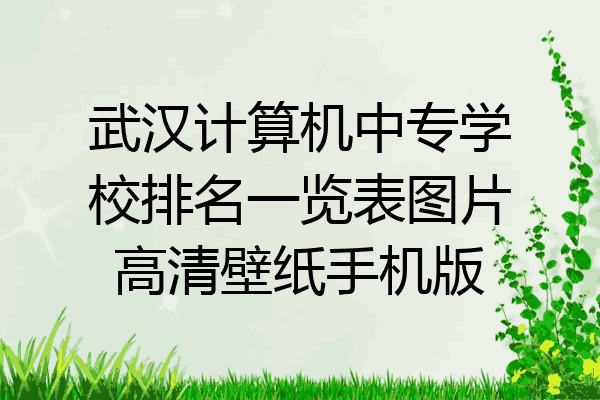 武汉计算机中专学校排名一览表图片高清壁纸手机版